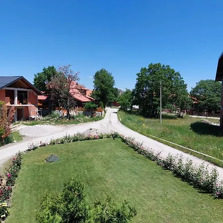 Cigota זלאטיבור